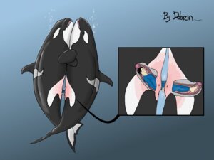 Rating: Explicit Score: 0 Tags: 4:3 aquatic bestiality cervical_contact cervical_penetration cervix cetacean cutaway dolorcin dolphin e621 female feral genitals group human human_on_feral internal internal_vaginal interspecies male mammal oceanic_dolphin open_mouth orca penetration sharp_teeth size_difference teeth tongue tongue_out toothed_whale trio unbirthing vaginal vaginal_canal vaginal_penetration vore vulva User: bunchy7s Rating: Explicit Score: 0 Tags: 4:3 aquatic bestiality cervical_contact cervical_penetration cervix cetacean cutaway dolorcin dolphin e621 female feral genitals group human human_on_feral internal internal_vaginal interspecies male mammal oceanic_dolphin open_mouth orca penetration sharp_teeth size_difference teeth tongue tongue_out toothed_whale trio unbirthing vaginal vaginal_canal vaginal_penetration vore vulva User: bunchy7s