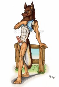 Rating: Explicit Score: 0 Tags: abs anthro balls canid canine e621 erection genitals male mammal nude penis pose simple_background slim solo tail white_background wolfgangcake User: bunchy7s