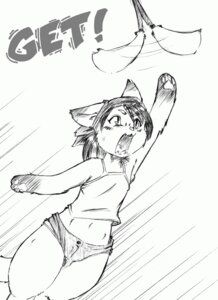 Rating: Safe Score: 0 Tags: acting_like_a_cat anthro biped blush bottomwear breasts cleaning_tool clothed clothing daww dipstick_ears domestic_cat e621 ear_markings english_text fangs feather_duster felid feline felis female front_view fur gloves_(marking) hair jumping kemono kemonono kerchief mammal markings midriff multicolored_ears navel nekowife open_mouth partially_clothed portrait shirt short_hair shorts simple_background small_breasts solo tail tank_top teeth text three-quarter_portrait topwear white_background wide_hips User: bunchy7s