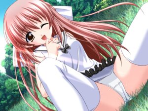 Rating: Explicit Score: 0 Tags: bow bowtie brown_eyes choco_chip dress dutch_angle female frills game_cg hairbow imouto_jiru kohinata_yuki long_hair open_mouth panties pantyshot pantyshot_(sitting) pantyshot_sitting red_hair rule34 school_uniform serafuku sitting sleeveless solo spread_legs sweat thighhighs underwear white_dress white_legwear white_panties white_thighhighs wink User: bunchy7s