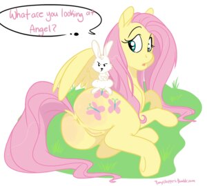 Rating: Explicit Score: 0 Tags: 2013 angel_(mlp) anus cutie_mark duo e621 english_text equid equine feathered_wings feathers female feral fluttershy_(mlp) friendship_is_magic fur genitals green_eyes hair hasbro lagomorph leporid looking_at_viewer lying mammal my_little_pony mythological_creature mythological_equine mythology on_side pegasus pink_hair ponyclopsasaurus rabbit simple_background tail text vulva white_background wings yellow_body yellow_feathers yellow_fur User: bunchy7s Rating: Explicit Score: 0 Tags: 2013 angel_(mlp) anus cutie_mark duo e621 english_text equid equine feathered_wings feathers female feral fluttershy_(mlp) friendship_is_magic fur genitals green_eyes hair hasbro lagomorph leporid looking_at_viewer lying mammal my_little_pony mythological_creature mythological_equine mythology on_side pegasus pink_hair ponyclopsasaurus rabbit simple_background tail text vulva white_background wings yellow_body yellow_feathers yellow_fur User: bunchy7s