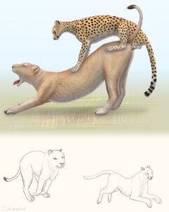 Rating: Explicit Score: 0 Tags: 4:5 animal_genitalia animal_penis anus chasing cheepard cheetah duo e621 erection felid feline feline_genitalia feline_penis female female_penetrated feral from_behind_position genitals hi_res interspecies larger_female larger_penetrated larger_sub lion male male/female male_penetrating male_penetrating_female mammal nude open_mouth pantherine penetration penile penile_penetration penis penis_in_vagina raised_tail running sex side_view size_difference sketch smaller_male submissive surprise_sex surprised tail tail_anus tongue tongue_out vaginal vaginal_penetration vulva yawn User: bunchy7s