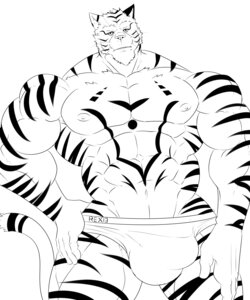Rating: Explicit Score: 0 Tags: 5:6 abs anthro athletic biceps big_muscles biped briefs bulge clothed clothing e621 felid fur hi_res looking_at_viewer male mammal markings monochrome muscular muscular_anthro muscular_male nipples pantherine pecs pose reclamon sketch solo standing stripes tiger topless underwear whiskers User: bunchy7s Rating: Explicit Score: 0 Tags: 5:6 abs anthro athletic biceps big_muscles biped briefs bulge clothed clothing e621 felid fur hi_res looking_at_viewer male mammal markings monochrome muscular muscular_anthro muscular_male nipples pantherine pecs pose reclamon sketch solo standing stripes tiger topless underwear whiskers User: bunchy7s