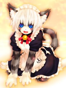 Rating: Safe Score: 0 Tags: 3:4 alternative_fashion bell bell_collar blue_eyes clothing collar domestic_cat e621 felid feline felis female goth gothic_lolita j-fashion karin_(tetetor-oort) lolita_(fashion) maid_uniform mammal solo tail tetetor-oort uniform User: bunchy7s