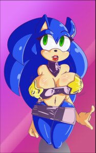Rating: Questionable Score: 0 Tags: anthro big_breasts black_border blue_body blue_fur blue_hair border bottomwear breasts cleavage clothed clothing crossgender e621 eulipotyphlan female fur green_eyes hair hedgehog hi_res huge_breasts long_hair mammal missphase mtf_crossgender navel nipple_outline sega skimpy skirt solo sonic_the_hedgehog sonic_the_hedgehog_(series) thong underwear User: bunchy7s