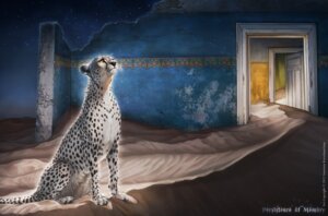 Rating: Safe Score: 0 Tags: ambiguous_gender balaa cheetah desert detailed_background digitigrade e621 felid feline feral fur mammal night nude outside quadruped ruins sand sitting solo star tail whiskers white_body white_fur User: bunchy7s Rating: Safe Score: 0 Tags: ambiguous_gender balaa cheetah desert detailed_background digitigrade e621 felid feline feral fur mammal night nude outside quadruped ruins sand sitting solo star tail whiskers white_body white_fur User: bunchy7s