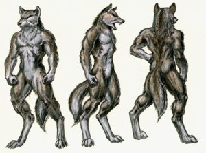 Rating: Safe Score: 0 Tags: angry anthro biped brown_body brown_fur canid canine canis colored_pencil_(artwork) countershading digitigrade dipstick_tail e621 ears_up featureless_crotch fist fluffy fluffy_tail front_view full-length_portrait fur grey_body grey_countershading grey_fur hand_on_hip humanoid_pointy_ears iisaw leg_markings male mammal markings model_sheet multicolored_tail multiple_angles multiple_poses muscular muscular_anthro muscular_male nude pointy_ears portrait pose side_view simple_background socks_(marking) solo spread_legs spreading standing tail tail_markings three-quarter_view traditional_media_(artwork) turnaround two_tone_tail white_background wolf User: bunchy7s