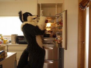 Rating: Safe Score: 0 Tags: ambiguous_gender anthro appliance canid canine clothing costume e621 fox fridge fursuit grandfathered_content kitchen_appliance machine mammal netiel photography_(artwork) real solo User: bunchy7s