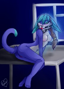 Rating: Explicit Score: 0 Tags: anthro ball_gag bell blue_body blue_fur collar e621 eipril female fur gag gagged genitals long_ears looking_at_viewer mammal nude one_eye_closed solo tail unknown_species vulva User: bunchy7s