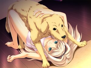 Rating: Explicit Score: 0 Tags: 4:3 barefoot bestiality blonde_hair canid canine canis dere_suku domestic_dog duo e621 feet female female_on_feral feral from_front_position game_cg grandfathered_content green_eyes hair human human_on_feral interspecies long_hair lying male male/female male_on_human mammal missionary_position on_back pregnant quadruped sex smile tail tomo_(dere_suku) unknown_artist vaginal User: bunchy7s