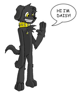 Rating: Safe Score: 0 Tags: anthro canid canine canis collar collar_only daisy_(housepets!) dialogue domestic_dog e621 english_text female flat_chested gesture housepets! mammal nude simple_background solo tail text venicethehedgehog waving white_background User: bunchy7s