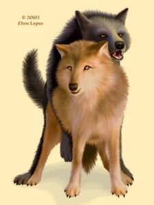 Rating: Explicit Score: 0 Tags: amber_eyes ambiguous_gender black_body black_fur black_nose canid canine canis claws duo e621 ebon_lupus fangs feral feral_on_feral fluffy fluffy_tail from_behind_position fur hi_res intraspecies looking_away male male/ambiguous mammal mounting open_mouth paws photorealism realistic sex shadow simple_background tail tan_background tan_body tan_fur teeth wolf User: bunchy7s Rating: Explicit Score: 0 Tags: amber_eyes ambiguous_gender black_body black_fur black_nose canid canine canis claws duo e621 ebon_lupus fangs feral feral_on_feral fluffy fluffy_tail from_behind_position fur hi_res intraspecies looking_away male male/ambiguous mammal mounting open_mouth paws photorealism realistic sex shadow simple_background tail tan_background tan_body tan_fur teeth wolf User: bunchy7s