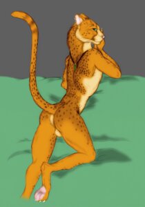 Rating: Explicit Score: 0 Tags: 1boy anthro ass backsack balls butt cheetah color e621 ear_piercing earring felid feline furry genitals inviting jaguar jewelry looking_at_viewer male male_only mammal nduli necklace nude piercing presenting presenting_hindquarters raised_tail rule34 solo tail User: bunchy7s Rating: Explicit Score: 0 Tags: 1boy anthro ass backsack balls butt cheetah color e621 ear_piercing earring felid feline furry genitals inviting jaguar jewelry looking_at_viewer male male_only mammal nduli necklace nude piercing presenting presenting_hindquarters raised_tail rule34 solo tail User: bunchy7s
