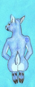 Rating: Questionable Score: 0 Tags: 2010 anthro biped black_hooves black_nose blue_background blue_body blue_fur blue_theme butt cloven_hooves deer e621 feet female fluffy fluffy_tail fur hooves iko ikorane kneeling looking_at_viewer looking_back mammal nude short_tail simple_background slim solo tail tattoo User: bunchy7s Rating: Questionable Score: 0 Tags: 2010 anthro biped black_hooves black_nose blue_background blue_body blue_fur blue_theme butt cloven_hooves deer e621 feet female fluffy fluffy_tail fur hooves iko ikorane kneeling looking_at_viewer looking_back mammal nude short_tail simple_background slim solo tail tattoo User: bunchy7s