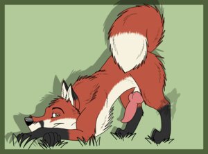 Rating: Explicit Score: 0 Tags: 2011 all_fours animal_genitalia animal_penis ass_up canid canine canine_genitalia canine_penis dipstick_tail e621 erection feral fox genitals knot lonewolf666 male mammal markings nude penis quadruped red_fox solo tail tail_markings true_fox User: bunchy7s Rating: Explicit Score: 0 Tags: 2011 all_fours animal_genitalia animal_penis ass_up canid canine canine_genitalia canine_penis dipstick_tail e621 erection feral fox genitals knot lonewolf666 male mammal markings nude penis quadruped red_fox solo tail tail_markings true_fox User: bunchy7s