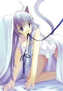 Rating: Safe Score: 0 Tags: 5_fingers all_fours animal_humanoid bed bed_sheet bedding cat_humanoid clothed clothing domestic_cat e621 felid felid_humanoid feline feline_humanoid felis female fingers fur furniture hair humanoid humanoid_hands long_hair looking_aside low_res mammal mammal_humanoid mouth_hold purple_body purple_eyes purple_fur purple_hair raised_tail simple_background solo string tail takigawa_yuu tan_body tan_skin white_background User: bunchy7s Rating: Safe Score: 0 Tags: 5_fingers all_fours animal_humanoid bed bed_sheet bedding cat_humanoid clothed clothing domestic_cat e621 felid felid_humanoid feline feline_humanoid felis female fingers fur furniture hair humanoid humanoid_hands long_hair looking_aside low_res mammal mammal_humanoid mouth_hold purple_body purple_eyes purple_fur purple_hair raised_tail simple_background solo string tail takigawa_yuu tan_body tan_skin white_background User: bunchy7s