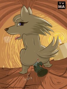 Rating: Explicit Score: 0 Tags: 2011 3:4 animal_crossing anthro anus arctic_wolf blue_eyes bodily_fluids candle canid canine canis crouching dildo dildo_sitting e621 female genital_fluids genitals improvised_dildo improvised_sex_toy looking_at_viewer looking_back mammal masturbation nintendo penetration sex_toy solo tail tongue tongue_out toying_self tvma vaginal vaginal_fluids vaginal_masturbation vaginal_penetration vulva whitney_(animal_crossing) wolf User: bunchy7s