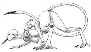 Rating: Explicit Score: 0 Tags: all_fours anus bald biceps black_and_white black_eyes breasts butt claws drull dungeons_and_dragons e621 fangs feet female genitals hasbro hindpaw long_neck long_tongue lvl9drow monochrome muscular muscular_female nipples not_furry nude paws simple_background solo spread_legs spreading tail teeth tongue vulva white_background white_body wizards_of_the_coast User: bunchy7s Rating: Explicit Score: 0 Tags: all_fours anus bald biceps black_and_white black_eyes breasts butt claws drull dungeons_and_dragons e621 fangs feet female genitals hasbro hindpaw long_neck long_tongue lvl9drow monochrome muscular muscular_female nipples not_furry nude paws simple_background solo spread_legs spreading tail teeth tongue vulva white_background white_body wizards_of_the_coast User: bunchy7s