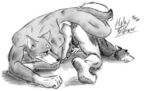 Rating: Explicit Score: 0 Tags: 2007 anal anal_penetration anthro balls canid canine canis domestic_dog duo e621 erection genitals husky huxley interspecies male male/male male_penetrated male_penetrating male_penetrating_male mammal monochrome nordic_sled_dog penetration penis sex spitz wolf User: bunchy7s