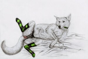 Rating: Explicit Score: 0 Tags: 2010 anatomically_correct anatomically_correct_genitalia anatomically_correct_vulva animal_genitalia animal_vulva canid canine canine_genitalia canine_vulva canis clothing domestic_dog e621 female feral genitals mammal mixxiwuff panties raised_leg simple_background sketch solo spread_legs spreading tail underwear vulva white_background User: bunchy7s