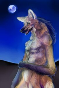 Rating: Safe Score: 0 Tags: anthro biped black_body black_fur black_hair black_nose brown_body brown_fur canid canine e621 fangs full_moon fur grin gweek hair looking_at_viewer male mammal maned_wolf moon night nude open_mouth outside pose smile solo standing tan_body tan_fur teeth tongue yellow_eyes User: bunchy7s Rating: Safe Score: 0 Tags: anthro biped black_body black_fur black_hair black_nose brown_body brown_fur canid canine e621 fangs full_moon fur grin gweek hair looking_at_viewer male mammal maned_wolf moon night nude open_mouth outside pose smile solo standing tan_body tan_fur teeth tongue yellow_eyes User: bunchy7s