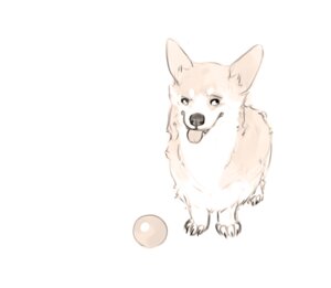 Rating: Safe Score: 0 Tags: ambiguous_gender amit ball canid canine canis domestic_dog e621 feral herding_dog mammal pastoral_dog simple_background solo tongue welsh_corgi white_background User: bunchy7s Rating: Safe Score: 0 Tags: ambiguous_gender amit ball canid canine canis domestic_dog e621 feral herding_dog mammal pastoral_dog simple_background solo tongue welsh_corgi white_background User: bunchy7s
