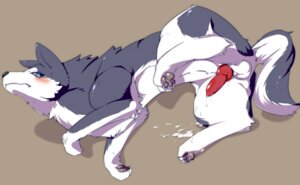 Rating: Explicit Score: 0 Tags: 4_toes animal_genitalia animal_penis anus balls blue_eyes blush bodily_fluids canid canine canine_genitalia canine_penis canis claws cum cum_on_ground digitigrade domestic_dog e621 erection feet feral genital_fluids genitals hindpaw husky knot looking_back lying male mammal nordic_sled_dog nude okunawa on_side pawpads paws penis simple_background soles solo spitz spread_legs spreading tail teeth toes User: bunchy7s