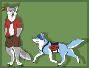 Rating: Safe Score: 0 Tags: ambiguous_gender anthro canid canine canis digitigrade domestic_dog duo e621 feral husky lonewolf male mammal nordic_sled_dog northwestern_wolf quadruped spitz tail wachhund_(character) wolf wulfer User: bunchy7s