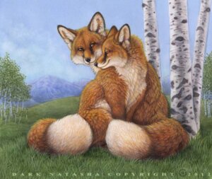 Rating: Safe Score: 0 Tags: 2012 ambiguous_gender birch_tree brown_eyes canid canine cloud dark_natasha detailed_background duo e621 feral field fluffy fluffy_tail fox fur grass mammal mountain outside plant scenery signature sky smile tail traditional_media_(artwork) tree wood User: bunchy7s