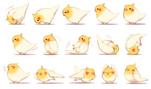 Rating: Safe Score: 0 Tags: ambiguous_gender avian beady_eyes beak bird cockatiel cockatoo e621 era_(artist) feathered_wings feathers parakeet parrot rolling simple_background solo true_parrot white_background wings User: bunchy7s