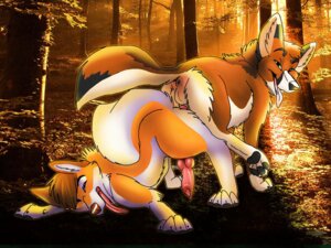 Rating: Explicit Score: 0 Tags: 2011 4:3 anal anal_knotting anal_penetration animal_genitalia animal_penis anus ass_to_ass ass_up autumn backsack balls blondefoxy canid canine canine_genitalia canine_penis dallas_(blondefoxy) detailed_background duo e621 erection feral feral_on_feral forest fox from_behind_position genitals intraspecies knot knotting looking_at_viewer looking_back lying male male/male male_penetrated male_penetrating male_penetrating_male mammal nature nude on_front open_mouth outside pawpads paws penetration penis plant raised_tail scenery sex tail tongue tongue_out top_hole tree warm_colors wood User: bunchy7s