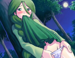 Rating: Explicit Score: 0 Tags: blush cheryl_(pokemon) female female_only french_braid green_eyes green_hair human long_hair lowres moon nintendo panties pokemon pokemon_dppt rule34 skirt skirt_lift solo underwear User: bunchy7s
