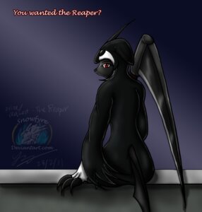 Rating: Safe Score: 0 Tags: 2011 absol anthro anthrofied biped black_nose e621 english_text female generation_3_pokemon horn looking_at_viewer looking_back melee_weapon nintendo pokemon pokemon_(species) pokemorph polearm reaper_(snowfyre) red_eyes scythe sitting snowfyre solo text weapon User: bunchy7s Rating: Safe Score: 0 Tags: 2011 absol anthro anthrofied biped black_nose e621 english_text female generation_3_pokemon horn looking_at_viewer looking_back melee_weapon nintendo pokemon pokemon_(species) pokemorph polearm reaper_(snowfyre) red_eyes scythe sitting snowfyre solo text weapon User: bunchy7s