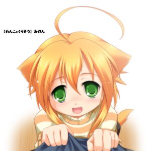 Rating: Safe Score: 0 Tags: 1:1 animal_humanoid canid canid_humanoid canine canine_humanoid canis dog_humanoid domestic_dog e621 fangs female green_eyes hair humanoid looking_at_viewer mammal mammal_humanoid mikan_(wanko) orange_hair short_hair simple_background solo teeth unknown_artist wanko_to_kurasou white_background young User: bunchy7s