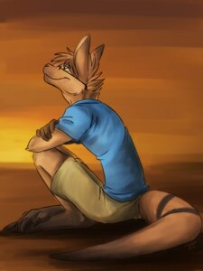 Rating: Safe Score: 0 Tags: 2012 3:4 anthro barefoot bottomwear brown_body brown_eyes brown_fur brown_hair claws clothed clothing dipstick_tail e621 eddie_(atlas_rysios) eyewear feet fully_clothed fur glasses hair hi_res kangaroo leg_markings macropod male mammal markings marsupial shirt short_hair shorts side_view sitting smile socks_(marking) solo tail tail_markings thick_tail topwear toraneko User: bunchy7s Rating: Safe Score: 0 Tags: 2012 3:4 anthro barefoot bottomwear brown_body brown_eyes brown_fur brown_hair claws clothed clothing dipstick_tail e621 eddie_(atlas_rysios) eyewear feet fully_clothed fur glasses hair hi_res kangaroo leg_markings macropod male mammal markings marsupial shirt short_hair shorts side_view sitting smile socks_(marking) solo tail tail_markings thick_tail topwear toraneko User: bunchy7s