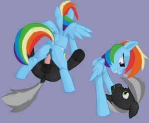 Rating: Explicit Score: 0 Tags: absurd_res anatomically_correct anatomically_correct_genitalia anatomically_correct_vulva animal_genitalia animal_penis animal_vulva anus balls black_body black_fur blue_body blue_feathers blue_fur butt cutie_mark doe-shmo duo e621 equid equine equine_genitalia equine_penis equine_vulva erection fan_character feathered_wings feathers female female_penetrated feral friendship_is_magic from_front_position fur genitals green_eyes grey_hair hair hasbro hi_res hooves jac legs_up lying male male/female male_penetrating male_penetrating_female mammal multicolored_hair multicolored_tail my_little_pony mythological_creature mythological_equine mythology nude on_back on_top pegasus penetration penile penile_penetration penis penis_in_vagina perineum puffy_anus purple_eyes rainbow_dash_(mlp) rainbow_hair rainbow_tail raised_tail reverse_missionary_position sex sheath simple_background smile spread_legs spreading straddling tail teeth vaginal vaginal_penetration vulva wings User: bunchy7s