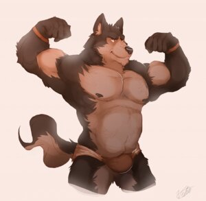 Rating: Questionable Score: 0 Tags: anthro biceps brown_body brown_fur bulge canid canine canis clothed clothing e621 flexing fur grin hi_res looking_at_viewer male mammal musclegut muscular muscular_anthro muscular_male nipples pecs pose simple_background skimpy slightly_chubby smile solo speedo swimwear topless underwear vetrowolf white_background wolf User: bunchy7s