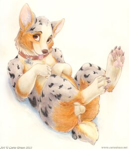 Rating: Explicit Score: 0 Tags: 2013 anthro anus balls biped canid canine canis collar curiodraco domestic_dog e621 genitals herding_dog looking_at_viewer lying male mammal nude on_back pastoral_dog shelbi simple_background solo text tongue tongue_out url welsh_corgi User: bunchy7s