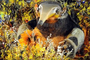 Rating: Safe Score: 0 Tags: anteater e621 female feral giant_anteater grandfathered_content group human long_snout mammal parade pilosan real scary snout solo_focus unknown_artist what xenarthran User: bunchy7s