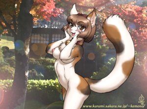 Rating: Questionable Score: 0 Tags: 2005 anthro arched_back bell bell_collar big_breasts biped black_body black_fur blush breasts brown_body brown_eyes brown_fur brown_hair calico_cat casual_nudity chest_tuft collar collar_only day digital_media_(artwork) domestic_cat dr_comet e621 eyebrows eyelashes felid feline felis female female_anthro fluffy fluffy_tail fur hair hi_res lens_flare looking_at_viewer mammal mottled multicolored_body multicolored_fur navel nipples nude nude_anthro nude_female open_mouth open_smile outdoor_nudity outside piebald pink_nipples pink_nose pink_tongue plant pose seductive signature smile solo standing tail teeth text three-quarter_view tongue tree tuft url ventral_groove white_body white_fur User: bunchy7s Rating: Questionable Score: 0 Tags: 2005 anthro arched_back bell bell_collar big_breasts biped black_body black_fur blush breasts brown_body brown_eyes brown_fur brown_hair calico_cat casual_nudity chest_tuft collar collar_only day digital_media_(artwork) domestic_cat dr_comet e621 eyebrows eyelashes felid feline felis female female_anthro fluffy fluffy_tail fur hair hi_res lens_flare looking_at_viewer mammal mottled multicolored_body multicolored_fur navel nipples nude nude_anthro nude_female open_mouth open_smile outdoor_nudity outside piebald pink_nipples pink_nose pink_tongue plant pose seductive signature smile solo standing tail teeth text three-quarter_view tongue tree tuft url ventral_groove white_body white_fur User: bunchy7s