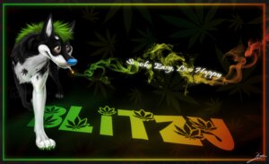 Rating: Safe Score: 0 Tags: brown_eyes canid canine canis character_badge_(artwork) domestic_dog drugs e621 feral green_hair hair male mammal marijuana marijuana_leaf mohawk smoke smoking solo stoned substance_intoxication unknown_artist User: bunchy7s Rating: Safe Score: 0 Tags: brown_eyes canid canine canis character_badge_(artwork) domestic_dog drugs e621 feral green_hair hair male mammal marijuana marijuana_leaf mohawk smoke smoking solo stoned substance_intoxication unknown_artist User: bunchy7s
