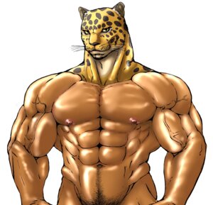 Rating: Questionable Score: 0 Tags: abs animal_head animal_humanoid athletic biceps black_eyes brown_body brown_fur e621 felid for_a_head fur grin guin guin_saga hair humanoid leopard looking_at_viewer male mammal muscular navel nipples nude pantherine pecs pink_body pink_skin pose pubes royalty simple_background smile solo standing tan_body tan_fur teltelboz vein whiskers white_background yellow_body yellow_fur yellow_sclera User: bunchy7s