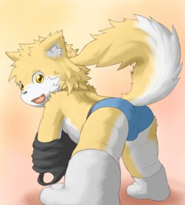 Rating: Questionable Score: 0 Tags: anthro bent_over briefs bulge canid canine clothed clothing e621 fangs footwear fox fur inner_ear_fluff kemono legwear looking_at_viewer looking_back male mammal mitei mti777 open_mouth open_smile orange_body orange_fur raised_tail shirt shota smile socks solo tail tank_top teeth tongue topwear tuft underwear undressing white_body white_fur yellow_eyes young young_anthro young_male User: bunchy7s