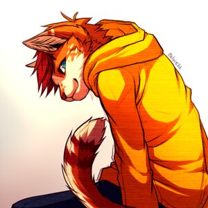 Rating: Safe Score: 0 Tags: 2012 ambiguous_gender anthro clothing digital_drawing_(artwork) digital_media_(artwork) domestic_cat e621 falvie felid feline felis fur hoodie looking_at_viewer male mammal orange_body orange_fur simple_background solo tail topwear white_background User: bunchy7s Rating: Safe Score: 0 Tags: 2012 ambiguous_gender anthro clothing digital_drawing_(artwork) digital_media_(artwork) domestic_cat e621 falvie felid feline felis fur hoodie looking_at_viewer male mammal orange_body orange_fur simple_background solo tail topwear white_background User: bunchy7s