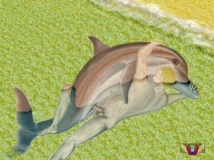 Rating: Explicit Score: 0 Tags: 4:3 anus aquatic balls bestiality brown_eyes butt cetacean dolphin duo e621 erection female female_penetrated feral genitals human human_on_feral interspecies male male/female male_penetrating male_penetrating_female mammal navel nude oceanic_dolphin penetration penile penile_penetration penis penis_in_vagina sex toothed_whale unknown_artist vaginal vaginal_penetration vulva water User: bunchy7s Rating: Explicit Score: 0 Tags: 4:3 anus aquatic balls bestiality brown_eyes butt cetacean dolphin duo e621 erection female female_penetrated feral genitals human human_on_feral interspecies male male/female male_penetrating male_penetrating_female mammal navel nude oceanic_dolphin penetration penile penile_penetration penis penis_in_vagina sex toothed_whale unknown_artist vaginal vaginal_penetration vulva water User: bunchy7s