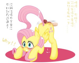 Rating: Explicit Score: 0 Tags: 2012 bestiality blush bodily_fluids cum cutie_mark disembodied_penis dripping duo e621 english_text equid equine erection feathered_wings feathers female female_focus female_on_human feral fluttershy_(mlp) friendship_is_magic fur genital_fluids genitals green_eyes hair hasbro hot_dogging human human_on_feral humanoid_genitalia humanoid_penis interspecies japanese_text looking_at_viewer male male/female male_on_feral mammal my_little_pony mythological_creature mythological_equine mythology pegasus penis pink_hair quadruped sd_(artist) sex simple_background solo_focus tail text translated white_background wings yellow_body yellow_feathers yellow_fur User: bunchy7s