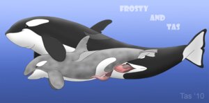 Rating: Explicit Score: 0 Tags: 2010 anal anal_penetration animal_genitalia animal_penis anus aquatic cetacean cetacean_genitalia cetacean_penis cool_colors dolphin dominant duo e621 erection feral feral_on_feral fully/fully_submerged fully_submerged genital_slit genitals larger_dom larger_male male male/male male_penetrated male_penetrating male_penetrating_male mammal nude oceanic_dolphin orca penetration penis pink_penis prehensile_penis sex sex_in_water size_difference smaller_male tapering_penis tasuric toothed_whale underwater underwater_sex water User: bunchy7s