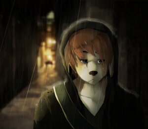 Rating: Safe Score: 0 Tags: alley anthro biped brown_hair bust_portrait buttsecs canid canine canis clothed clothing dark digital_media_(artwork) domestic_dog e621 ears_down freckles front_view fully_clothed hair hood hood_up male mammal night outside pivoted_ears portrait raining sad solo street User: bunchy7s