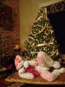 Rating: Safe Score: 0 Tags: 3:4 animal_skin canid canine canis christmas clothing costume domestic_dog e621 fur fursuit grandfathered_content hair holidays male mammal photography_(artwork) pink_body pink_fur pink_hair plant pose real solo tree unknown_artist wood User: bunchy7s