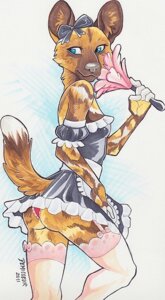 Rating: Safe Score: 0 Tags: 2011 accessory african_wild_dog anthro blue_eyes bow_(feature) bow_accessory bow_ribbon butt canid canine cleaning_tool clothing demicoeur e621 feather_duster female hair_accessory hair_bow hair_ribbon legwear looking_away looking_back maid_uniform mammal marker_(artwork) markings mixed_media panties pen_(artwork) pinup pose raised_tail ribbons shuki simple_background solo stockings tail traditional_media_(artwork) underwear uniform white_background User: bunchy7s